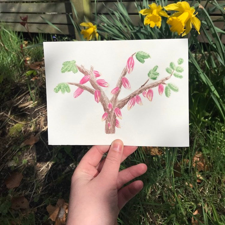 Watercolour illustration of a cocoa tree