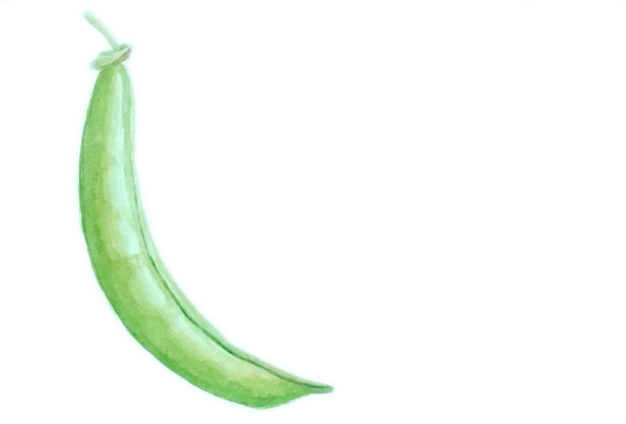 Green Bean Original